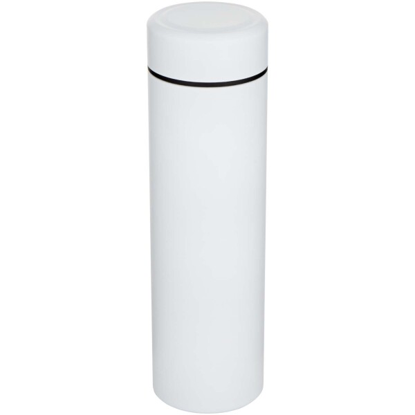 Taylor 450 ml Doppelwand Isolierflasche aus Edelstahl mit Teesieb