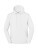 Iconic Premium Kapuzenpullover - 2669957 - variant 