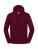 ICONIC 250 Kapuzenpullover - 2669959 - variant 