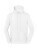 ICONIC 250 Kapuzenpullover - 2669970 - variant 