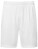 Unisex TriDri® Ion-Charge Performance-Shorts - 2748327 - variant 