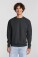 Schwerer Sweater Iconic Premium Set-In Sweat - pr-162282-f-o-l-iconic-premium-set-in-sweat-light-graphite-front-8a11209d-9d16-4754-a027-156460ac04a8-web - variant 