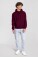 Schwerer Kapuzen Sweater Iconic Premium Hooded Sweat - pr-162284-f-o-l-iconic-premium-hooded-sweat-burgundy-front-e168aa21-864f-4615-a836-1bb0667fdb63-web - variant 