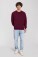 Sweater Iconic 250 Set-In Sweat - pr-162292-f-o-l-iconic-250-set-in-sweat-burgundy-front-5ec11a91-ddde-4b7b-a176-23edbc26af70-web - variant 