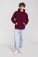 Kapuzen Sweater - Iconic 250 Hooded Sweat - pr-162294-f-o-l-iconic-250-hooded-sweat-burgundy-front-ac6facc0-83ed-49b1-9173-3203cc008909-web - variant 
