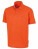 RT312 Apex Polo Shirt - RT312_Orange - variant Ls 1000159324