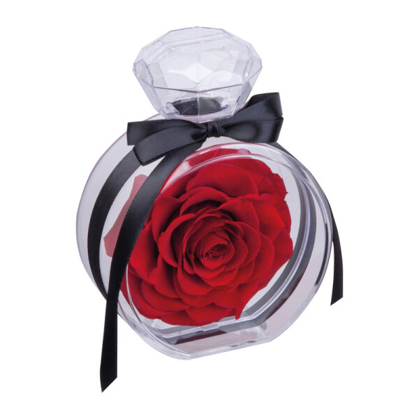 Konservierte Rose