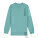 Mini Changer 2.0 Kinder-Sweatshirt - stsk181-tealmonstera_packshot_main_front - variant Eg STSK181C06003