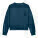 Stella Nora Damen-Hoodie - stsw212-deepteal-packshot-main-front - variant 