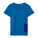 Das legendäre taillierte Damen-T-Shirt für mittlere Lichtverhältnisse - sttw079-royalblue_packshot_main_front - variant Eg STTW079C2301L