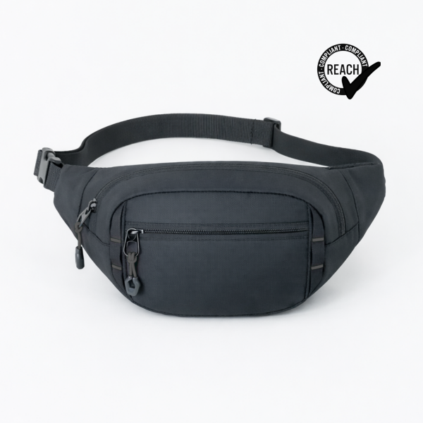 Expedition waist bag