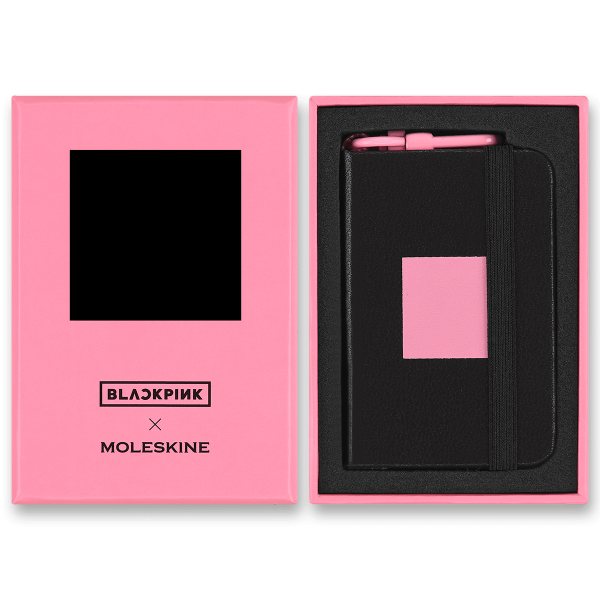 Moleskine Charm Mini Notizbuch – Transparent