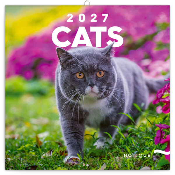 NOTIQUE Notizblock Katzen 2027, 30 x 30 cm