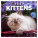 NOTIQUE Notizblock Kätzchen 2027, 30 x 30 cm - pgp-36312-v_tit - variant Pg PGP-36312-V
