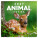 NOTIQUE Kalender Cubs 2027, 30 x 30 cm - pgp-36314-v_tit - variant Pg PGP-36314-V
