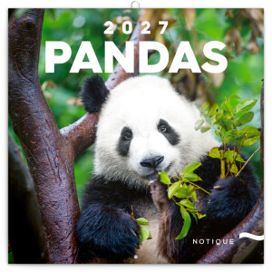 NOTIQUE Pandas 2027 Notizblock, 30 x 30 cm - Reklamnepredmety