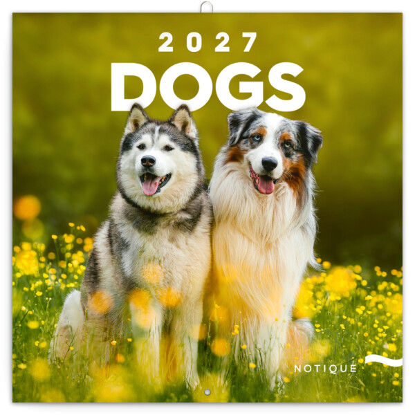 NOTIQUE Notizblock Hunde 2027, 30 x 30 cm