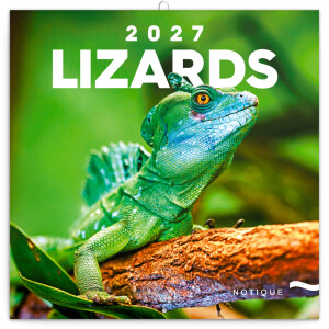NOTIQUE Kalender Eidechsen 2027, 30 x 30 cm - Reklamnepredmety