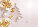 Umschlag C5 Weihnachten (100 Stück gemischt) - ZOV0785_001 - variant He ZOV0785