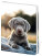 Notizbuch für Kinder - Pup - cmk0794 - variant 