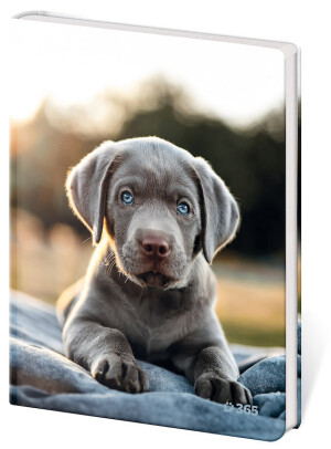 Notizbuch für Kinder - Pup - Reklamnepredmety