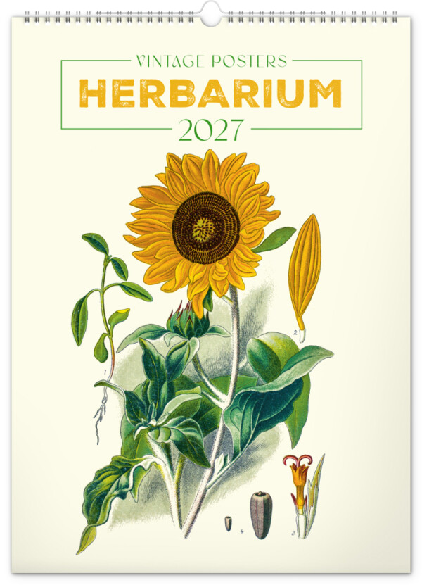 NOTIQUE Wandkalender Vintage-Poster – Herbarium 2027, 33 x 46 cm