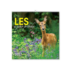 Wandkalender Der Wald und seine Geschichten 2027 - Reklamnepredmety