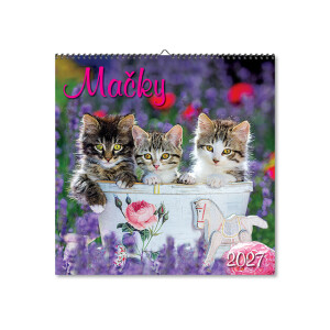 Wandkalender Katzen 2027 - Reklamnepredmety