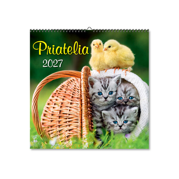 Wandkalender Freunde 2027