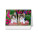 Tischkalender Katzen 2027 - S19-27 - variant Sp S19-27