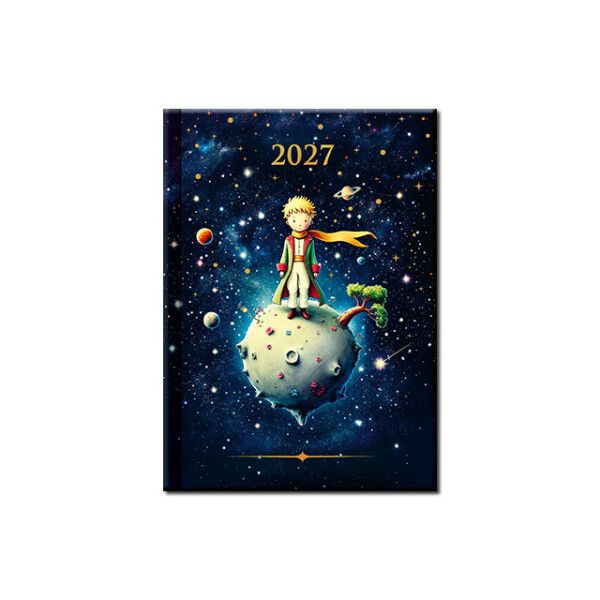 Praktik Tageskalender A6 PRINC 2027