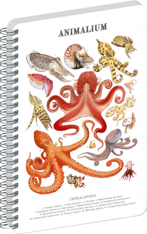 HINWEIS Spiralnotizbuch Animalium – Kopffüßer, liniert, A5 - Reklamnepredmety