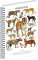 NOTIQUE Spiralnotizbuch Animalium – Katzen, kariert, A4