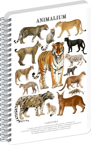 NOTIQUE Spiralnotizbuch Animalium – Katzen, kariert, A4 - Reklamnepredmety
