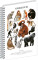 NOTIQUE Spiralnotizbuch Animalium – Primaten, kariert, A5