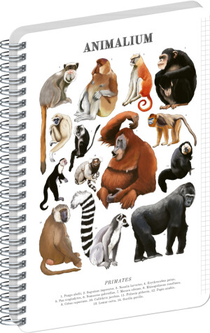 NOTIQUE Spiralnotizbuch Animalium – Primaten, kariert, A5 - Reklamnepredmety