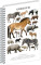 HINWEIS Spiralnotizbuch Animalium – Paarhufer, kariert, A4