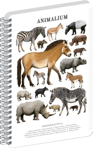 HINWEIS Spiralnotizbuch Animalium – Paarhufer, kariert, A4 - Reklamnepredmety