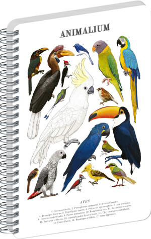 NOTIQUE Spiralnotizbuch Animalium – Vögel, klar, A4 - Reklamnepredmety