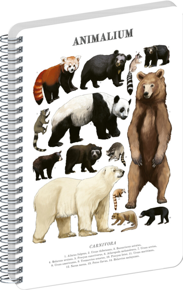 NOTIQUE Spiralnotizbuch Animalium – Bären, klar, A5