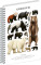 NOTIQUE Spiralnotizbuch Animalium – Bären, klar, A5