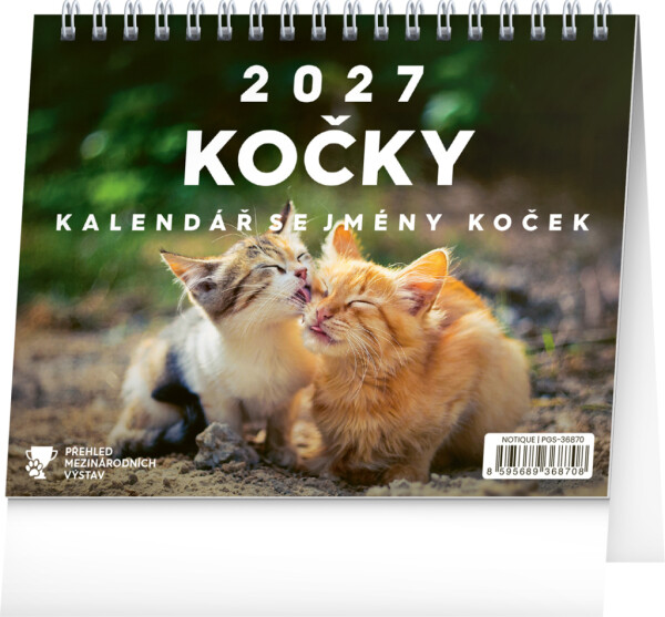 NOTIQUE Tischkalender Katzen - mit Katzennamen CZ 2027, 16,5 x 13 cm