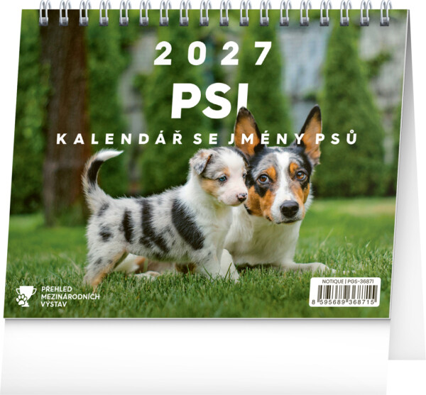 NOTIQUE Tischkalender Hunde – mit Hundenamen CZ 2027, 16,5 x 13 cm