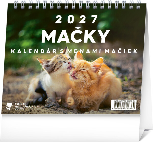 NOTIQUE Tischkalender Katzen - mit Katzennamen 2027, 16,5 x 13 cm