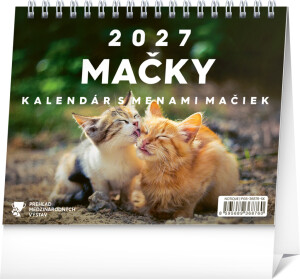 NOTIQUE Tischkalender Katzen - mit Katzennamen 2027, 16,5 x 13 cm - Reklamnepredmety