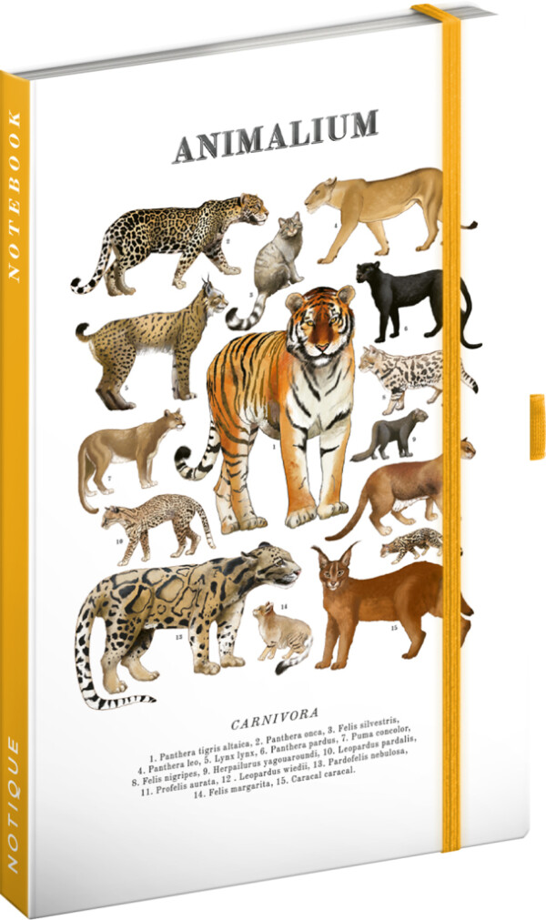 NOTIQUE Notes Animalium – Katzen, liniert, 13 x 21 cm