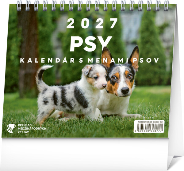 NOTIQUE Tischkalender Hunde – mit Hundenamen 2027, 16,5 x 13 cm