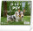 NOTIQUE Tischkalender Hunde – mit Hundenamen 2027, 16,5 x 13 cm