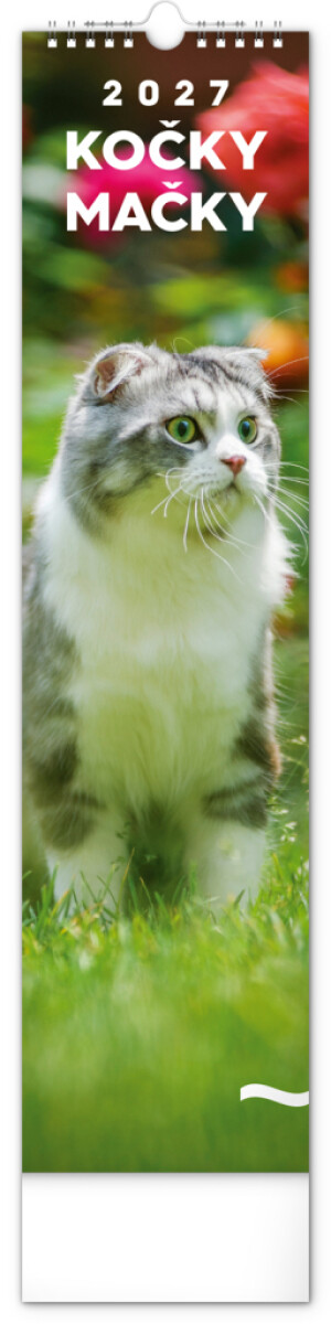 NOTIQUE Wandkalender Katzen CZ/SK 2027, 12 x 48 cm - Reklamnepredmety