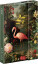 NOTIQUE Magnetic weekly planner Flamingo 2027, 11 x 16 cm - pgd-37237-v_tit - variant Pg PGD-37237-V